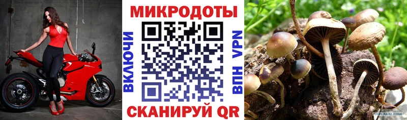 как найти   Демидов  Псилоцибиновые грибы прущие грибы 